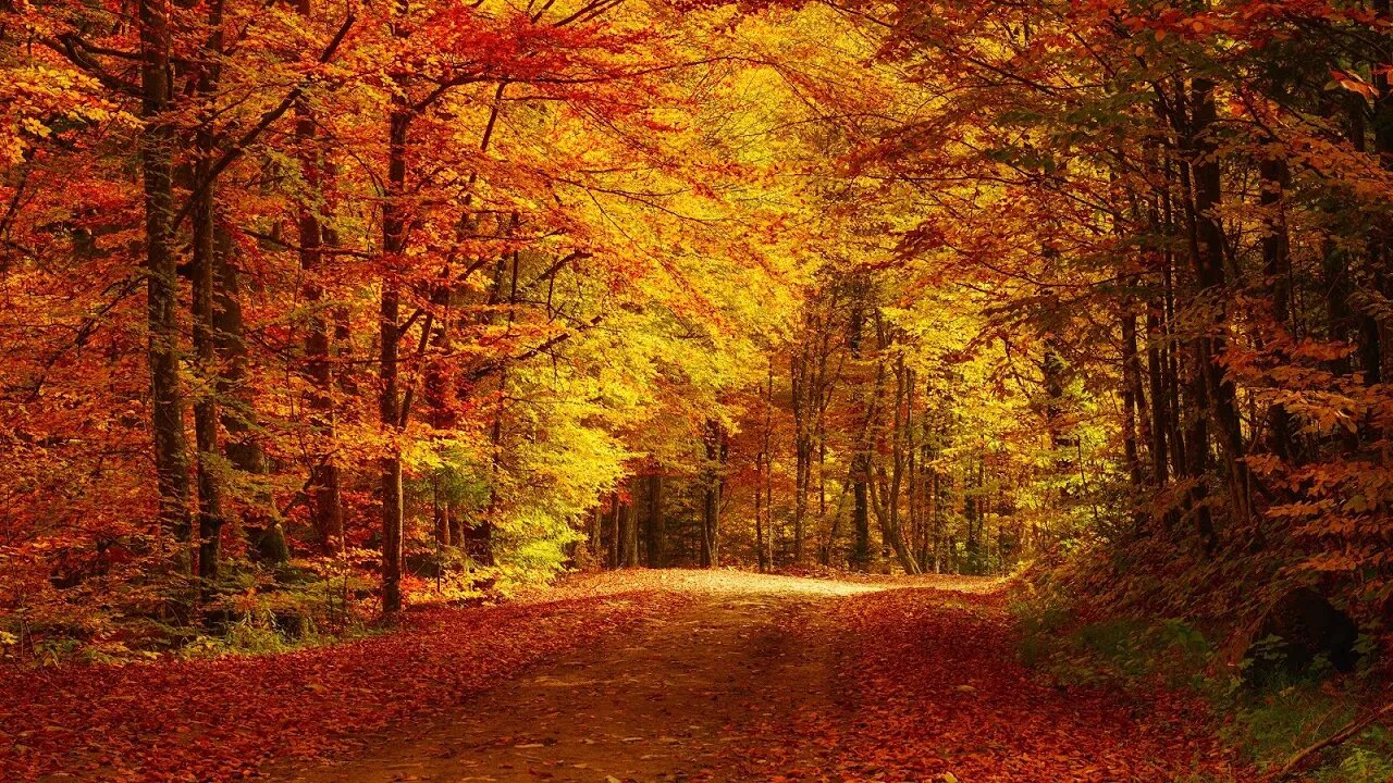 Beautiful Autumn Music – November [2 Hour Version]