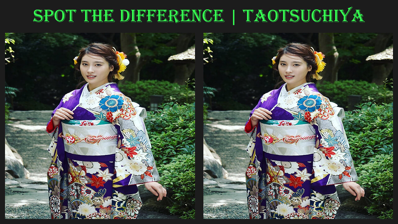 Spot the difference | Taotsuchiya