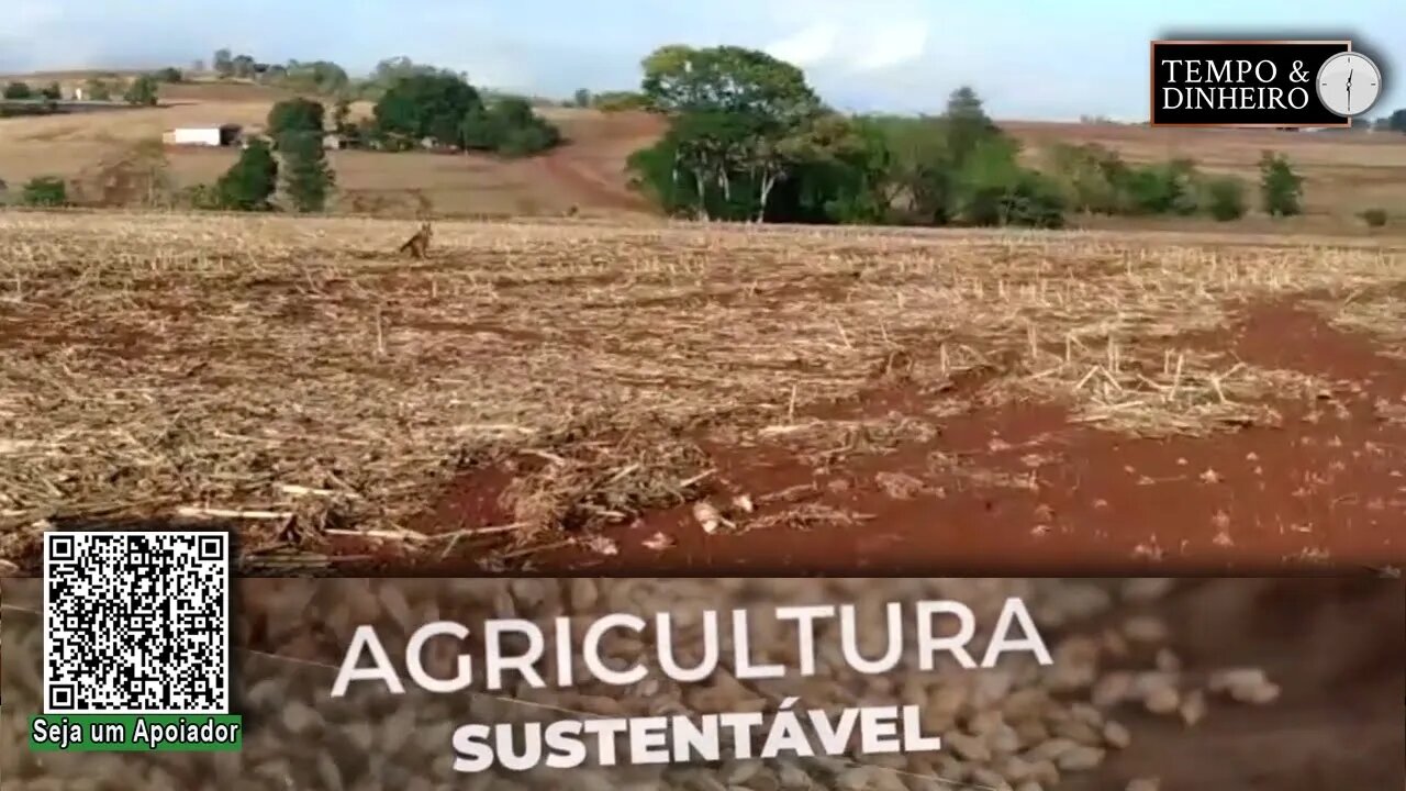 Um vizinho faz plantio direto e terraço; o outro não. Aí vem a chuva. Como fica o solo de ambos? RZ