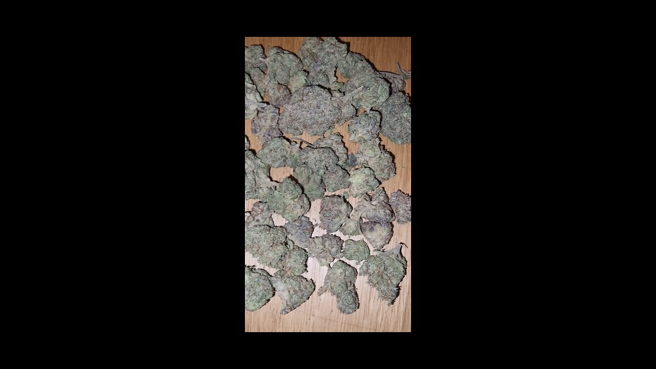 Lava cake UK weed review and smoke up rsosos