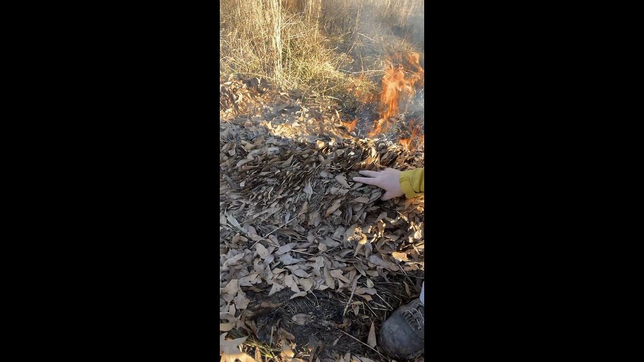 Grasslands Clean Waterways