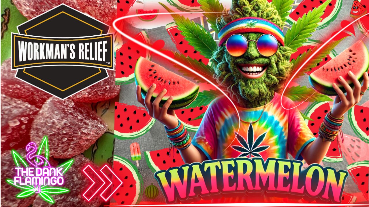 Trying D9 THC Watermelon Gummies from Workman's Relief! The Dank Flamingo Cannabis Review!