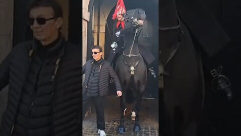 Tourist leans on the kings guards horse #horseguardsparade