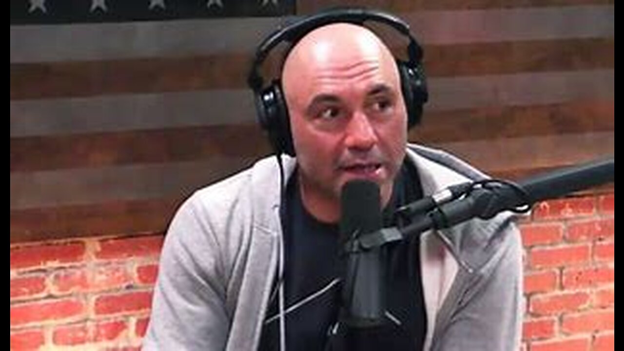 Joe Rogan : Slime Mold has INTELLIGENCE?!😳 #joerogan #japan #experiment