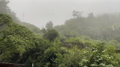 Rainforest ♥️ best rainfall+waterfall