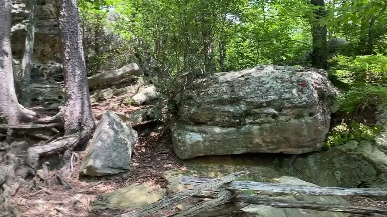 Cumberland Gap National Park - The Pinnacle (3-state view) - Walk With Me, Steve Martin (1)