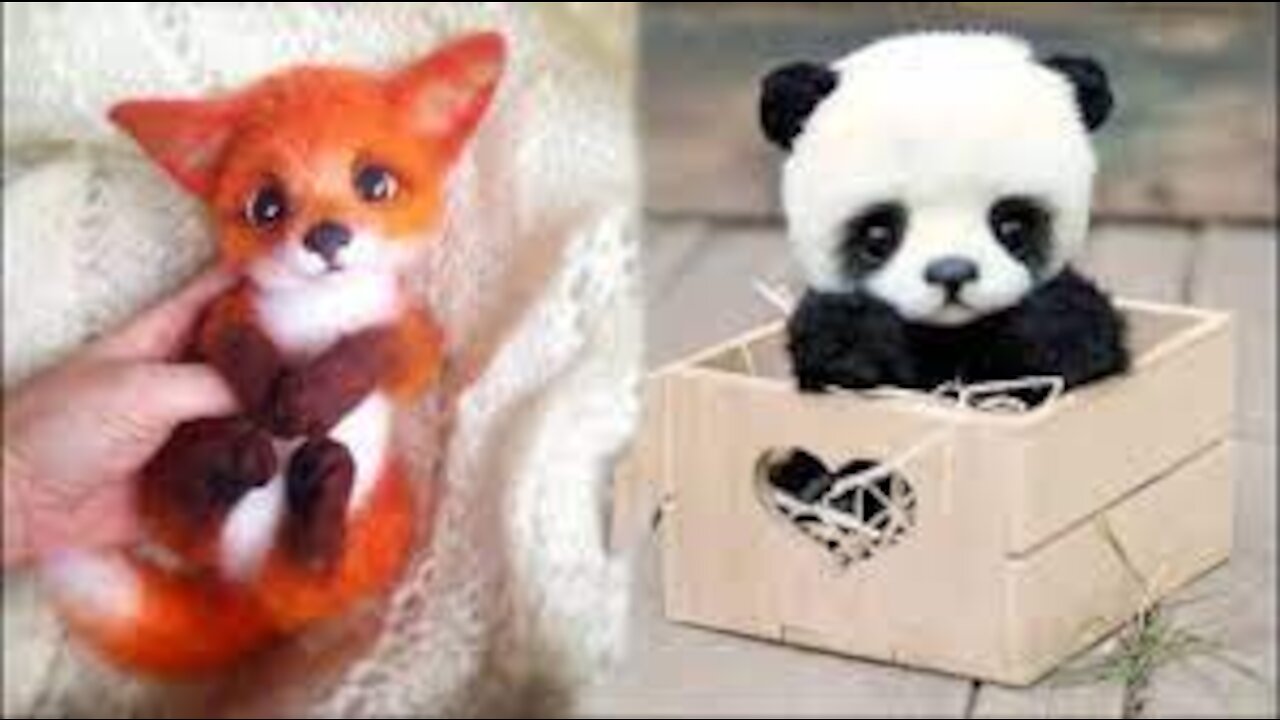 Animals SOO Cute! Cute baby animals❤❤