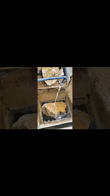 #shorts #2022 funny,prank,funjokes,dad jokes,funny memes,funny video,fun,laughing,funny animal,knock