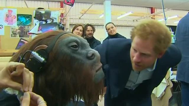 Star Wars welcomes the Royals