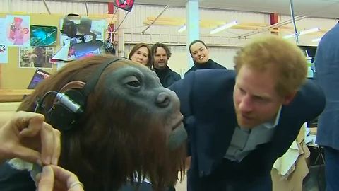Star Wars welcomes the Royals