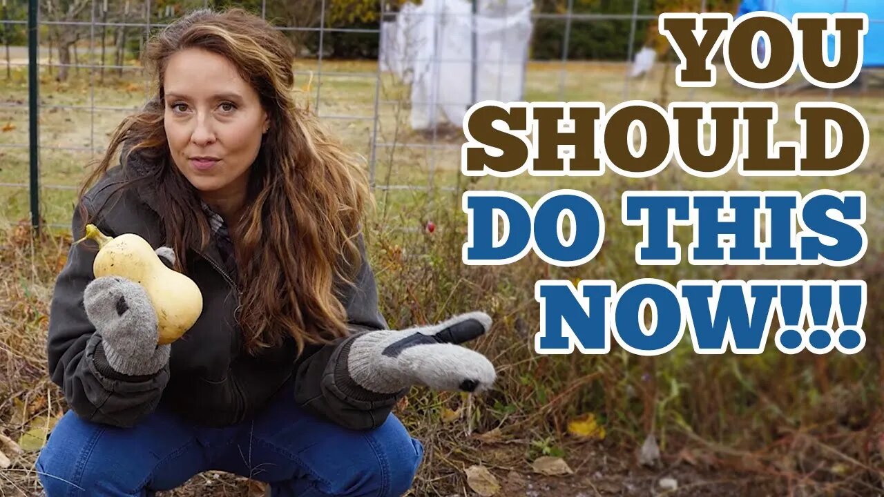 Get This Done Now & Eat for MONTHS Off These Crops (Even In Freezing Temps!)