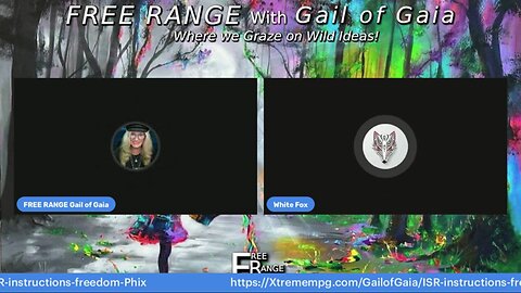 "Seeing The Energies" with Shaman WhiteFox and Gail of Gaia on FREE RANGE