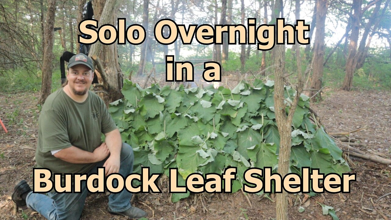 Debris Shelter Using Wild Rhubarb Leaves! In the Bush #101