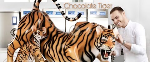 Chocolate Tiger!