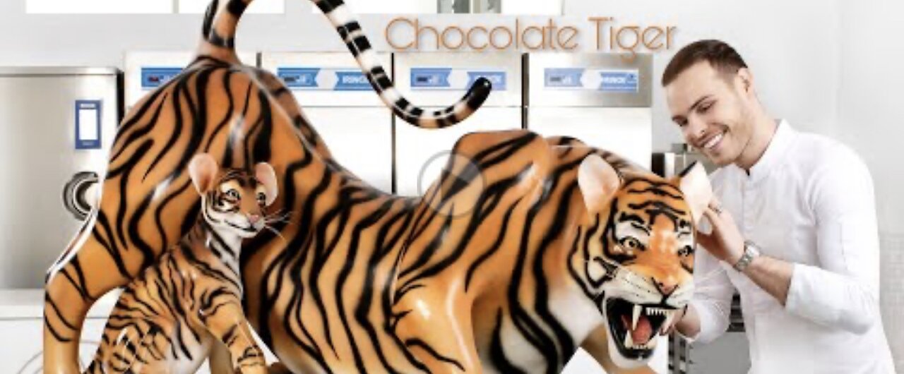 Chocolate Tiger!