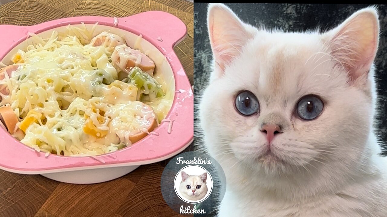 Have you ever eaten Pasta Bears?🍝🐻 Let’s try!