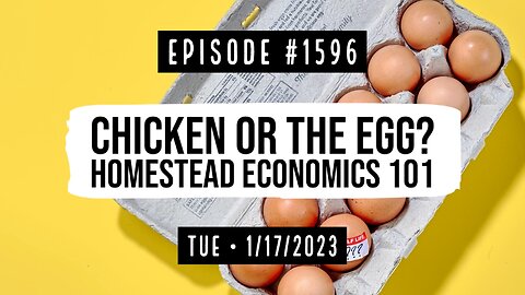 Owen Benjamin | #1596 Chicken Or The Egg? Homestead Economics 101