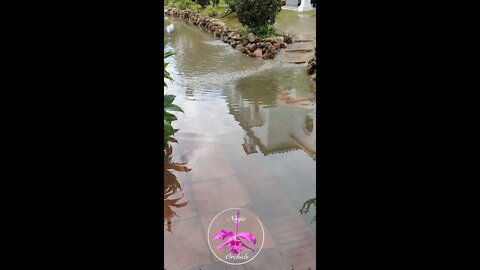 OH S#IT!!! 🐠🐟🎣🐳🦆🏊🏼‍♀️🚣🏼‍♀️🏄🏼‍♀️🤽🏼‍♀️ #short