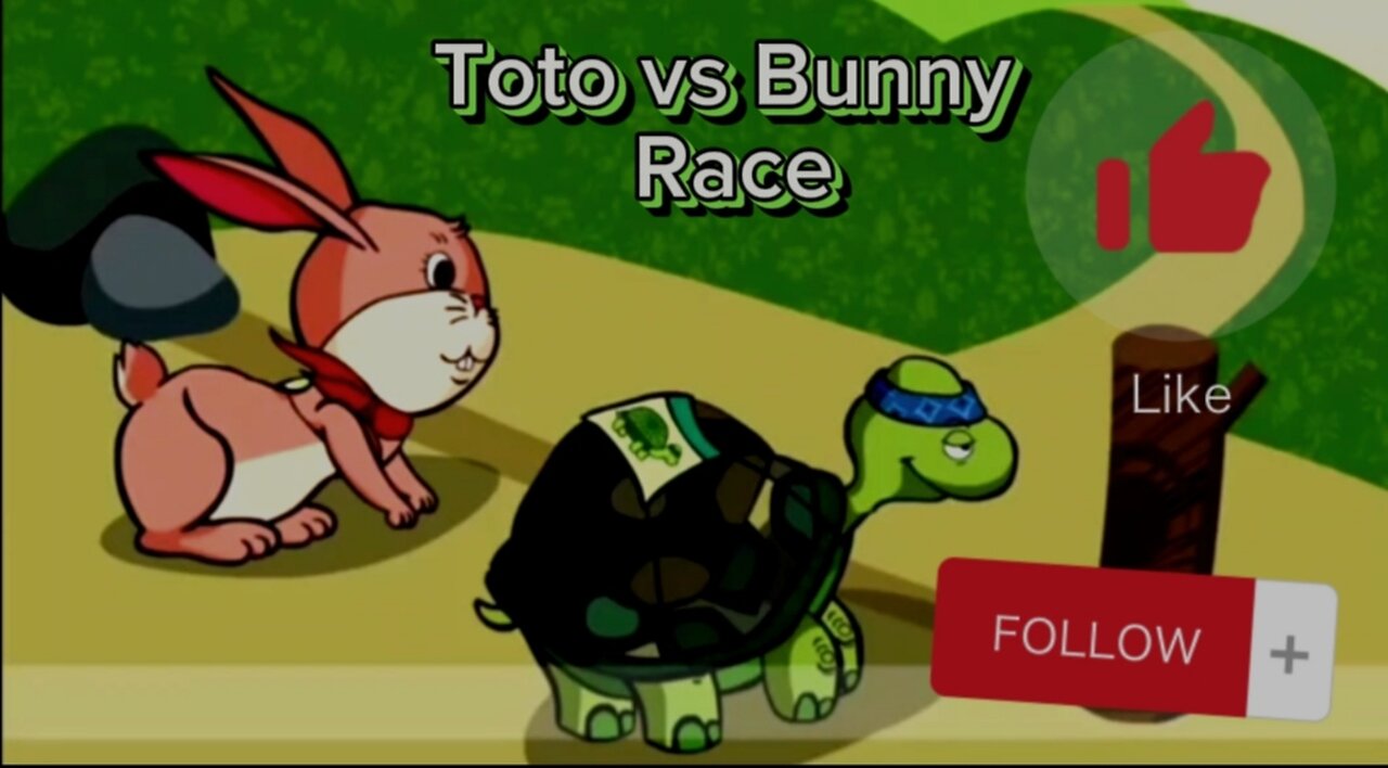 Toto and bunny race