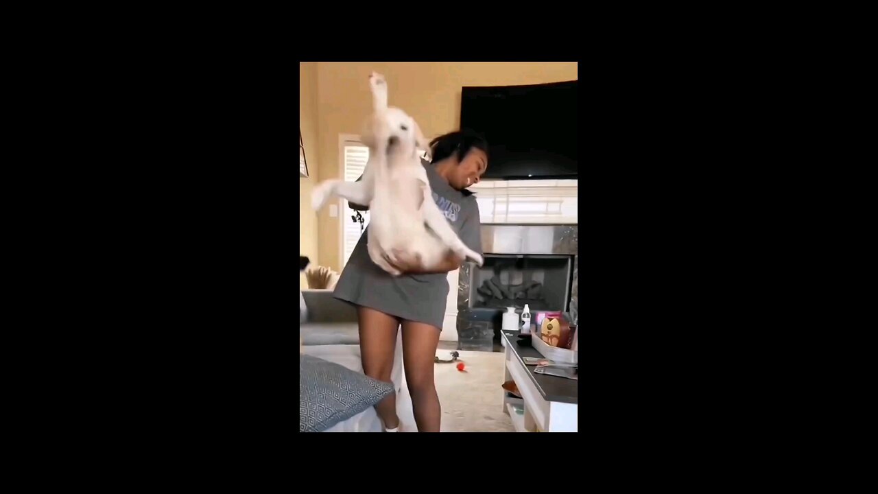 BEST FUNNY ANIMALS 2024