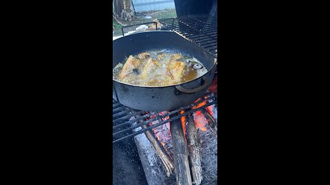 Island Flavors: Wood-Fired Snapper Fry-Up in Miami 🌴🔥🐟