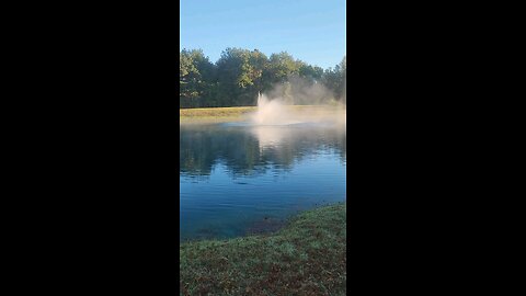 carnivore morning walk chilly morning