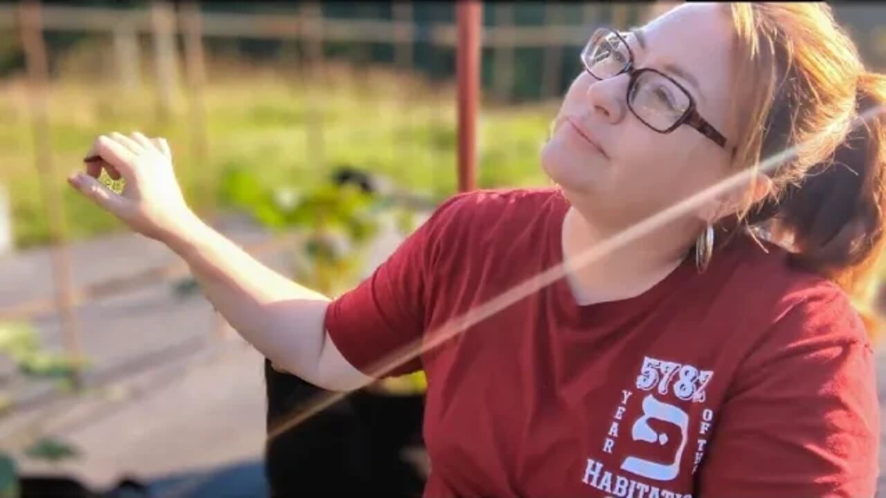Yes I Do Want To Share Everything | Our Journey To Self Sufficiency