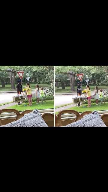 This is why you ALWAYS stop at the lemonade stand