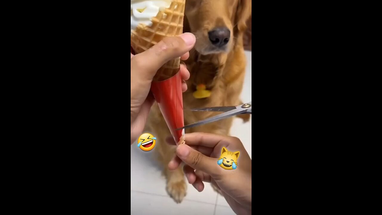 🤣
