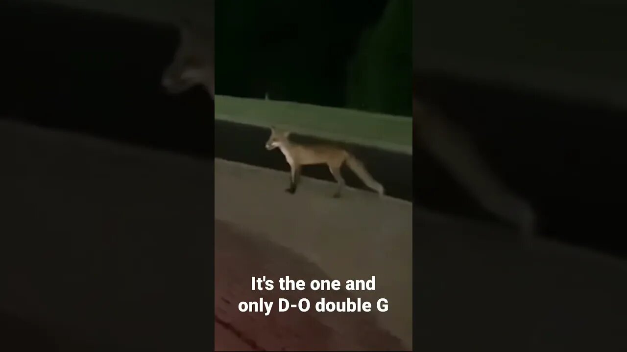 MEME is the one and only D-O double G #shorts