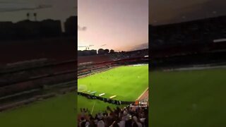 vídeos shorts do kawai #shorts