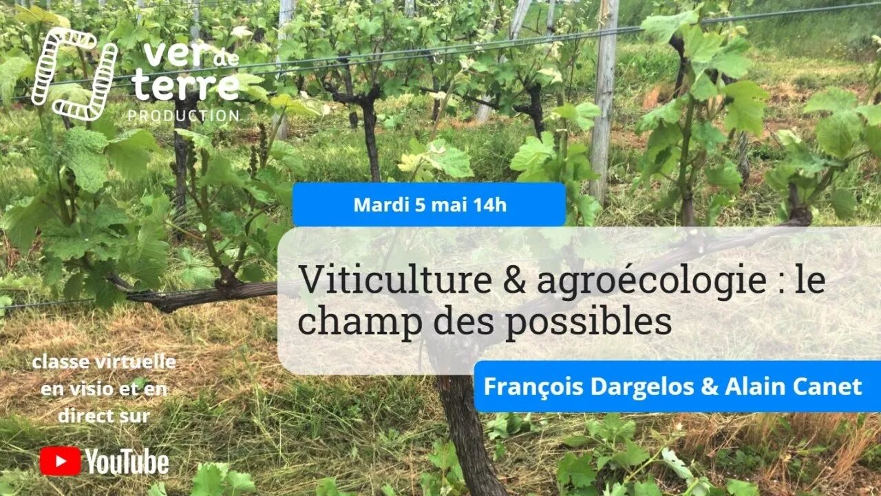 Viticulture et agroécologie : le champ des possibles, avec François Dargelos & Alain Canet