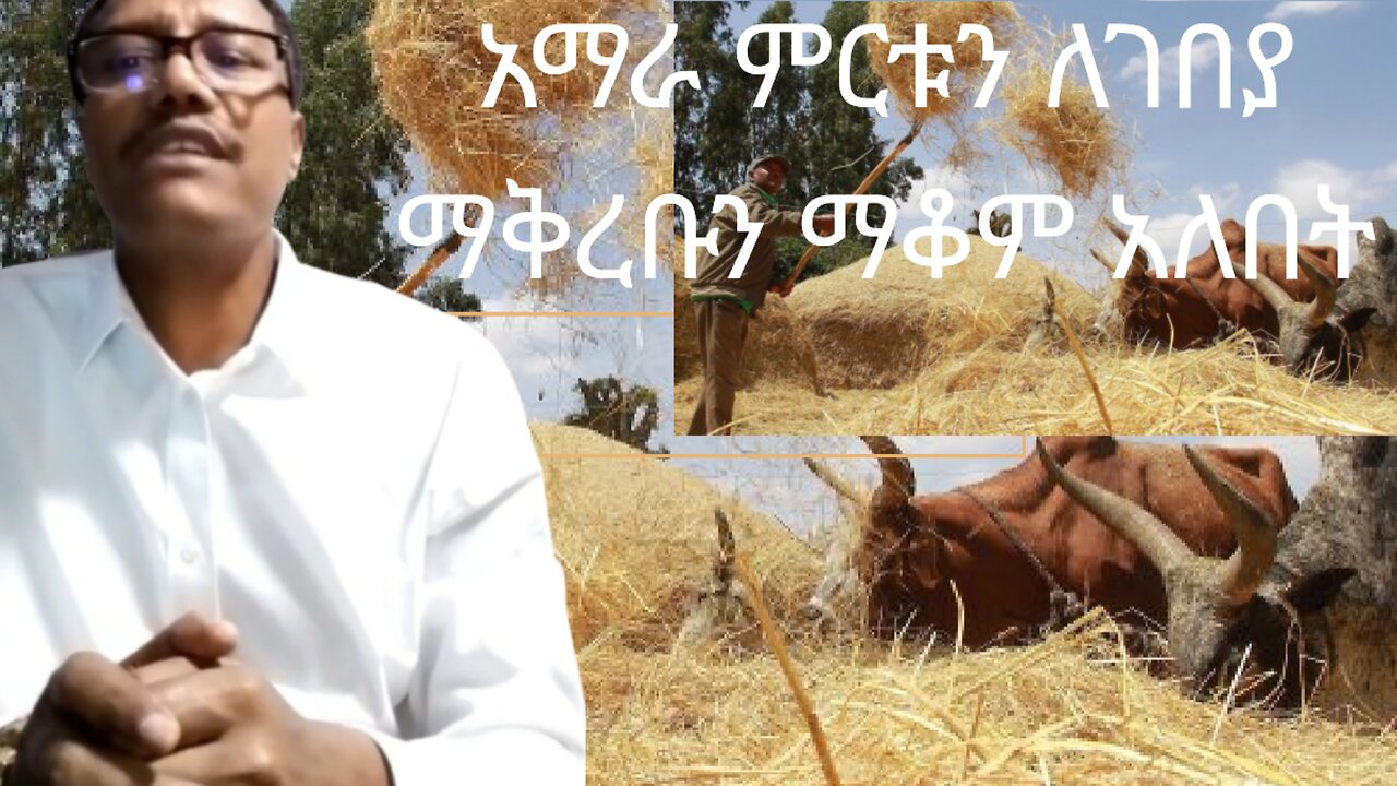 አማራ ምርቱን ለገበያ ማቅረቡን ማቆም አለበት