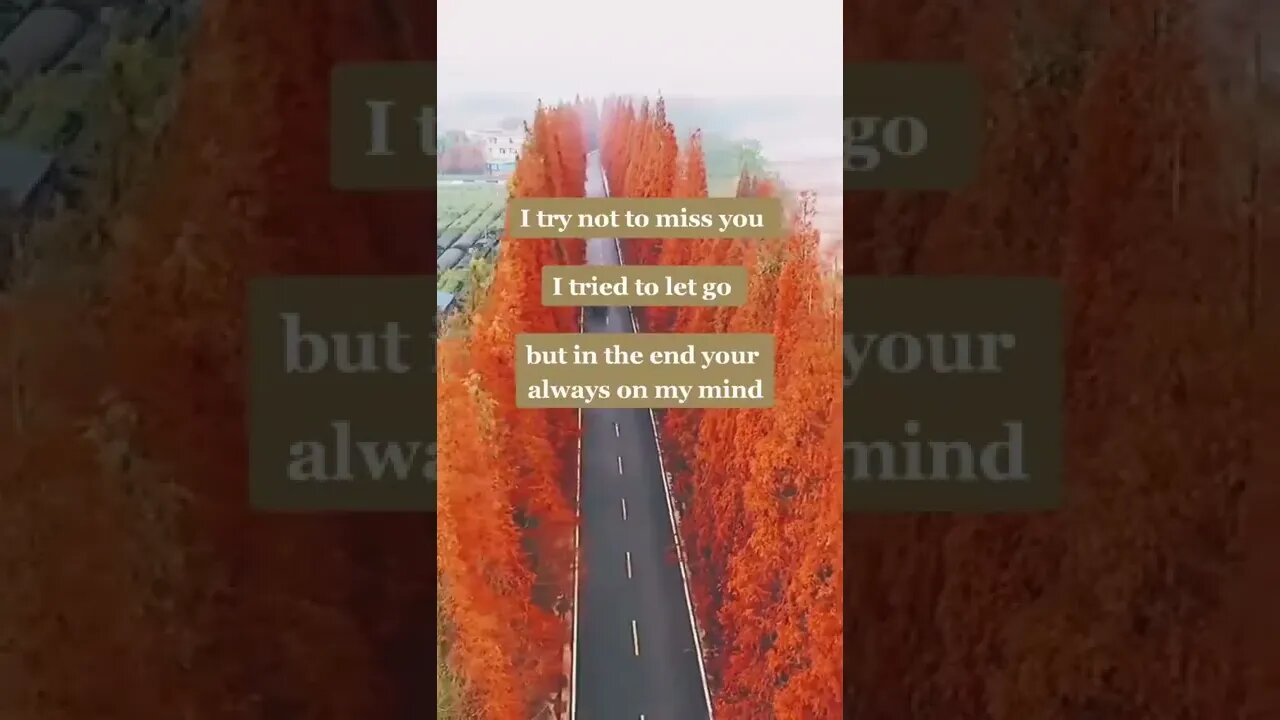 I try not to miss you.....mfrquotes in english