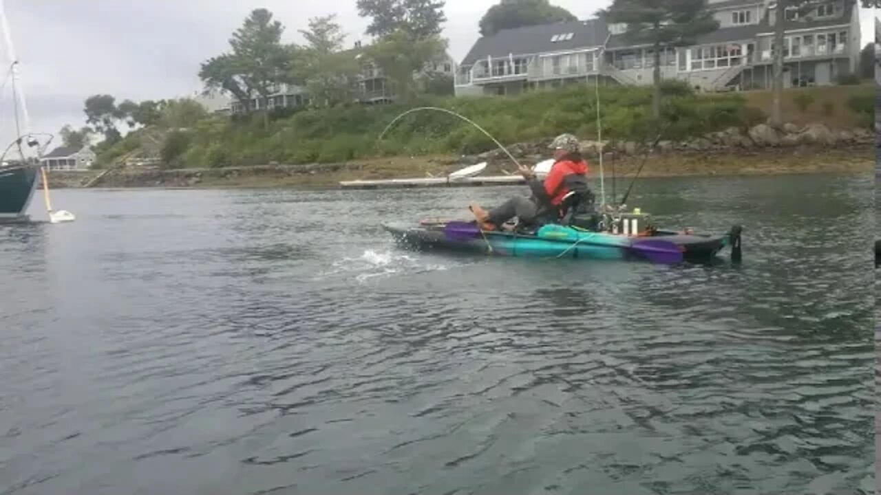 York River w/ Justin