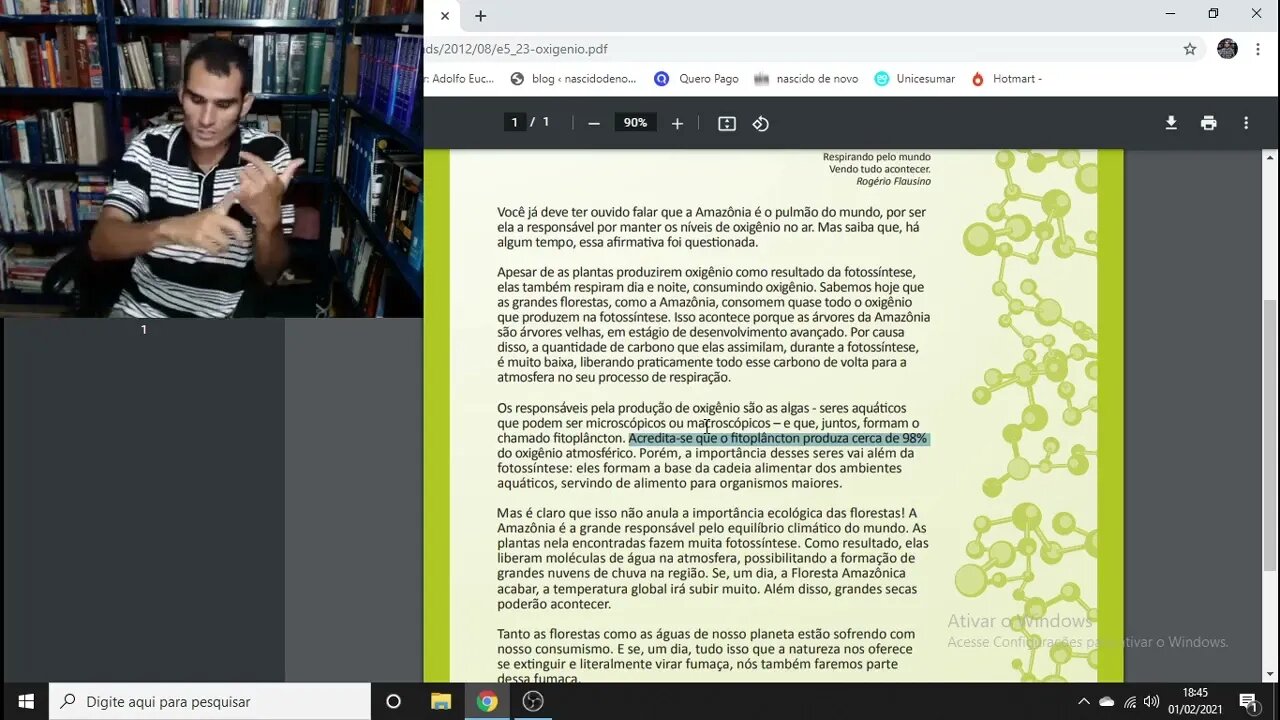 Anitta e a Amazônia!!