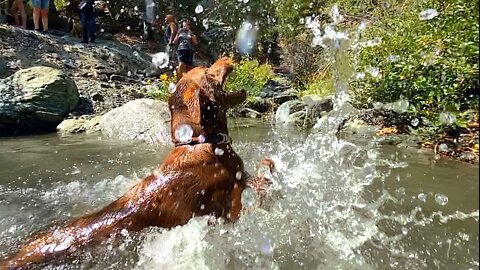 Hiking in Lytle Creek and 4-Wheeling To Upper Lytle Creek's Beautiful Spots - Southern California
