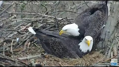 Pittsburgh Hays Eagles Mom sits in bowl and Dad's foot 2020 02 01 1013am