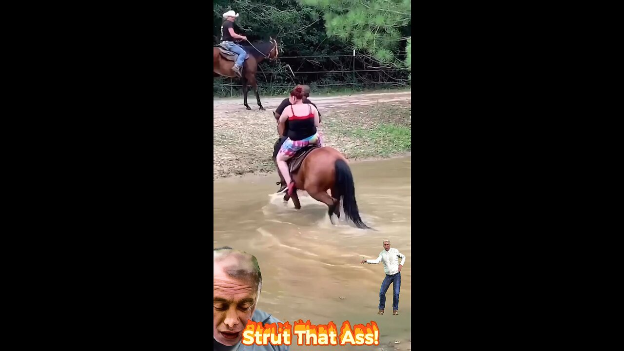 Strut That Ass! 🐎