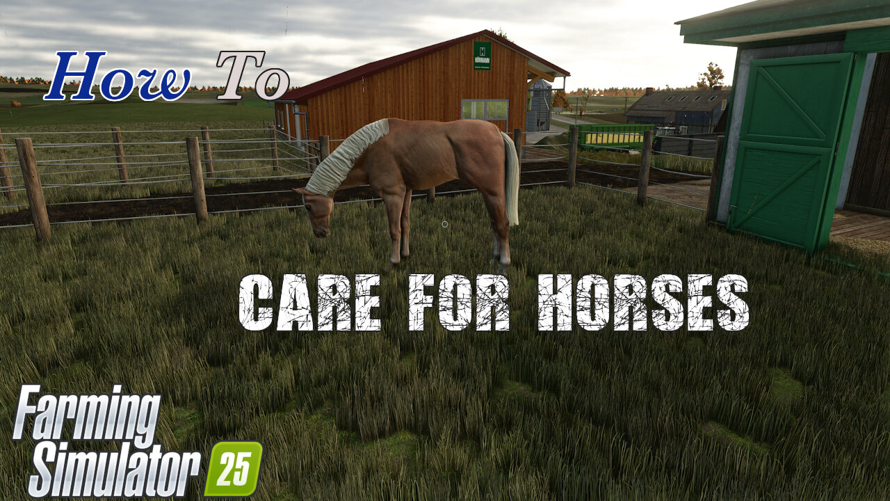 How To | Care For Horses | Farming Simulator 25