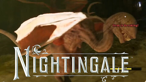 Chicken Dance! ~ Nightingale! #nightingale