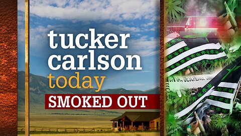Tucker Carlson Today | Smoked Out: Alex Berenson
