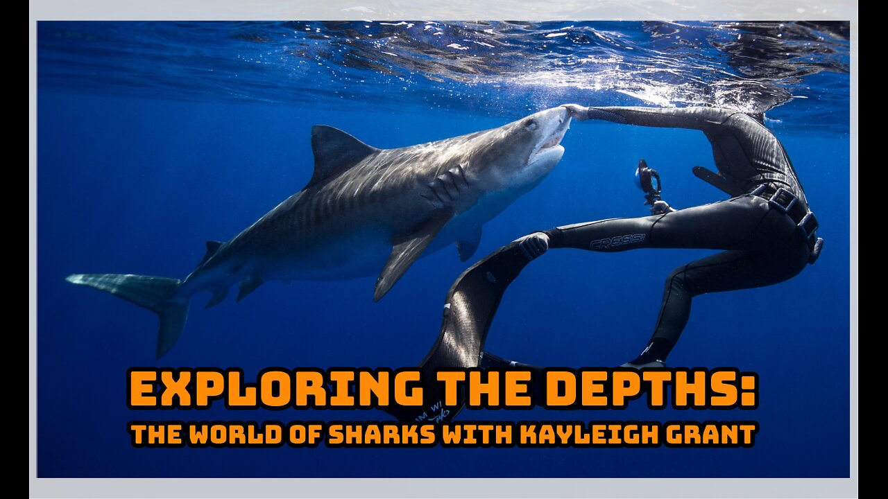 Exploring the Depths: The World of Sharks with Kayleigh Grant