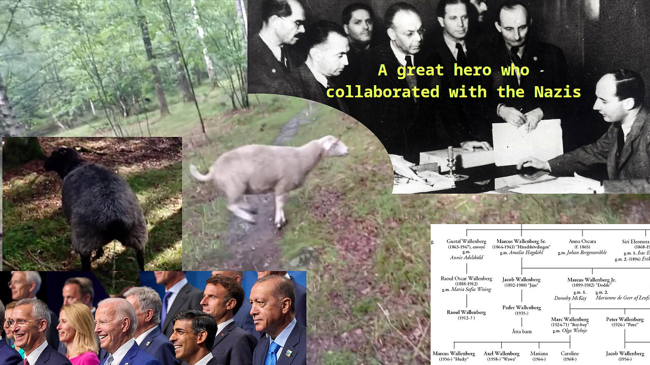 SEK+7%. Macron: "Brain Dead NATO". Erdogan! Soros' Anti-Wallenberg propaganda. Honored Nazi-friend