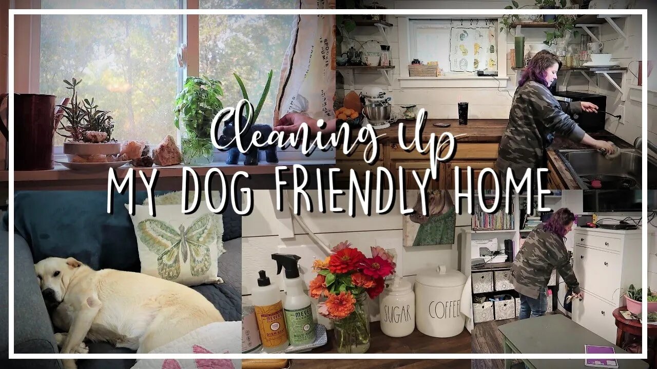 Cleaning Motivation for Your Busy Week//Homemaking Motivation//Speed Cleaning//Clean With Me