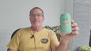 Beer Review: A OK IPA from Avondale Brewing