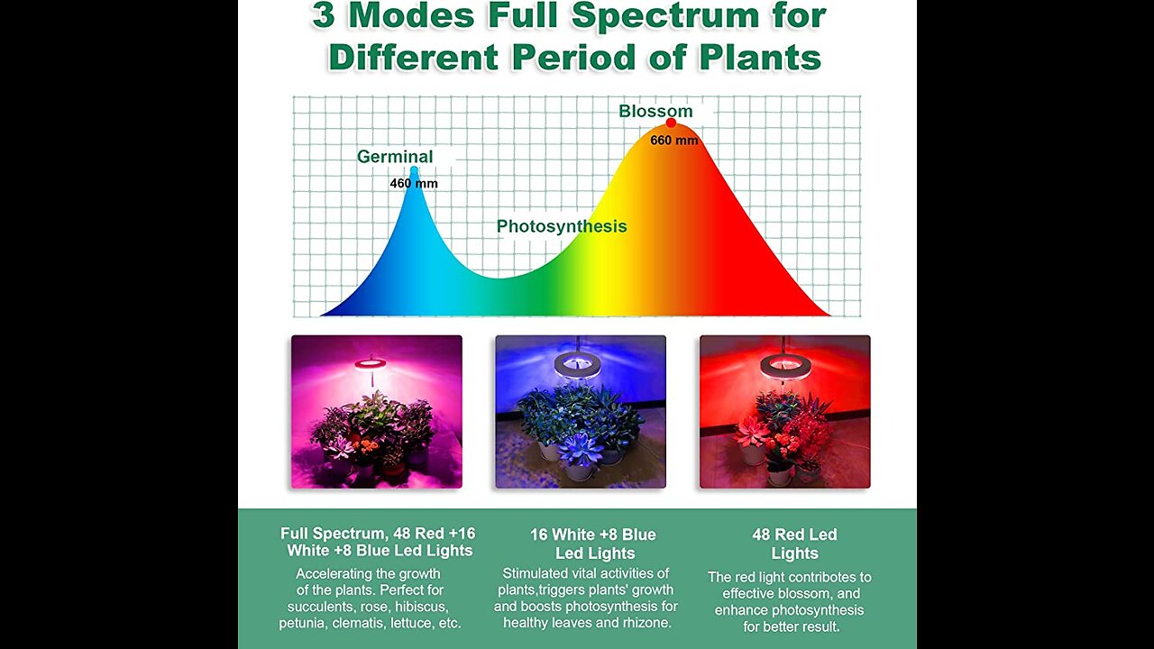 eWonLife Grow Lights for Indoor Plants Full Spectrum, Small Plant Lights Lamp, Height Adjustabl...