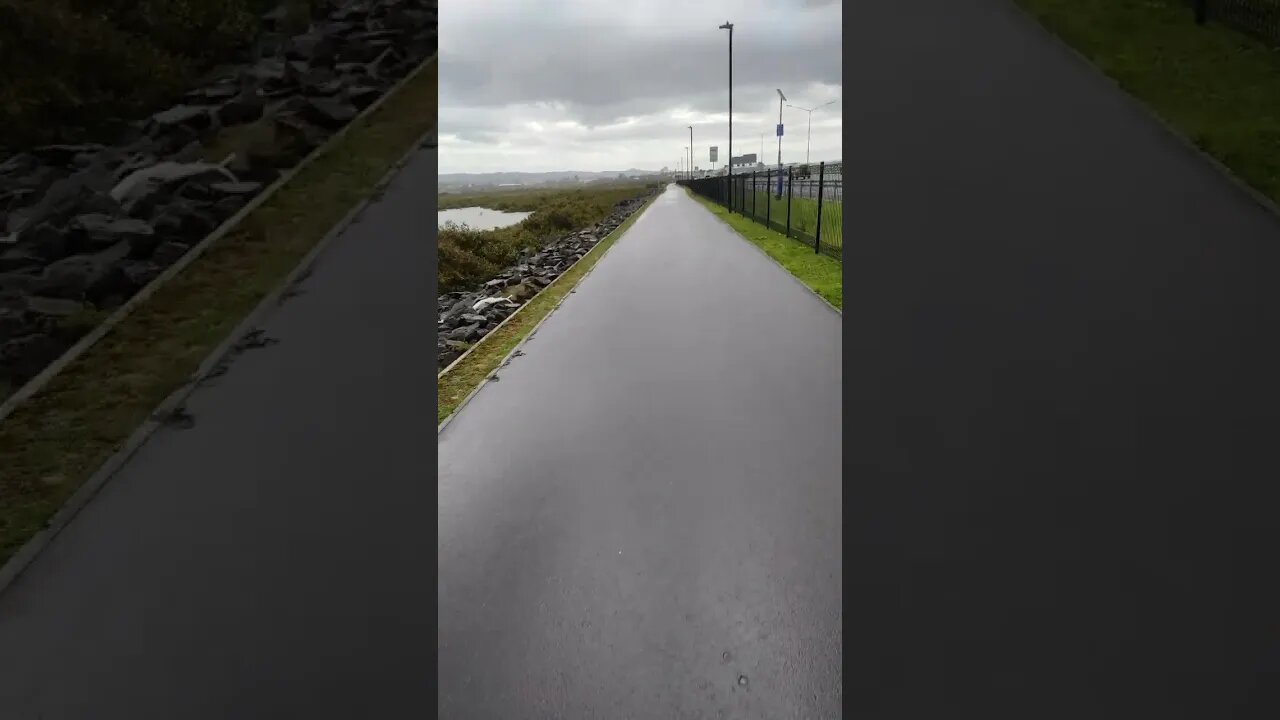 Bike path after the rain (2)