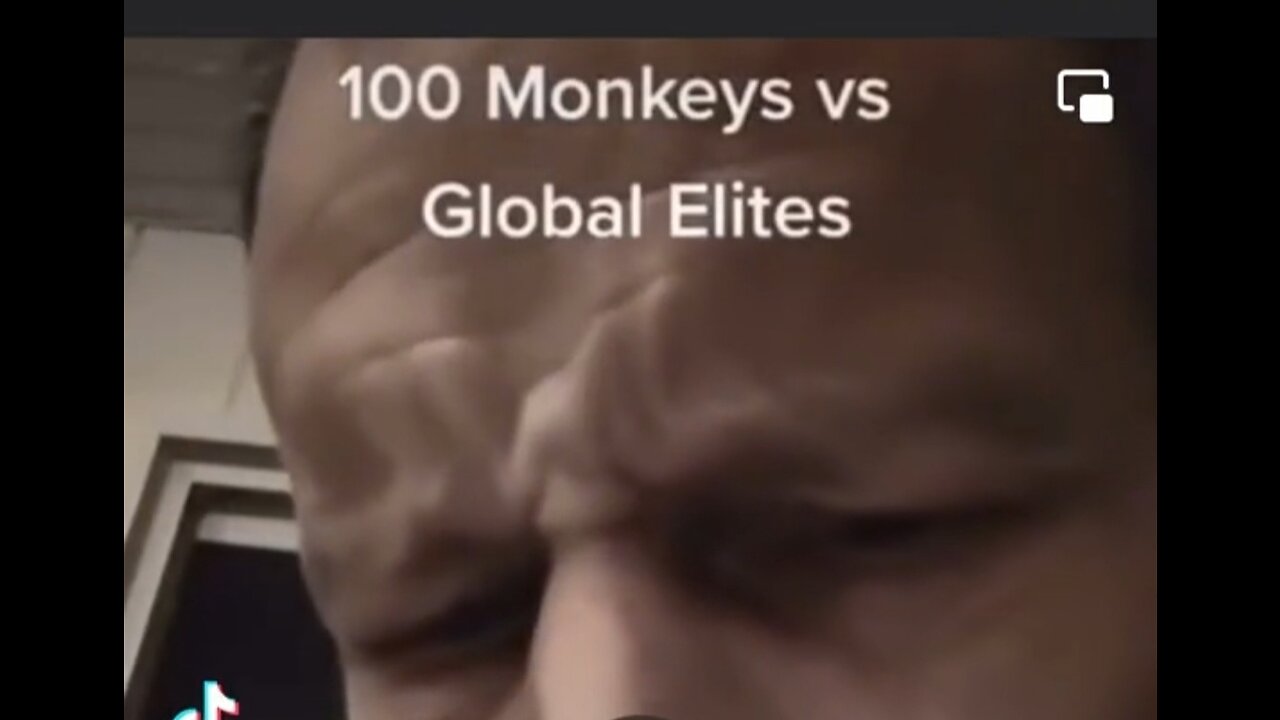 Let's make it to 100 monkeys everybody 👍