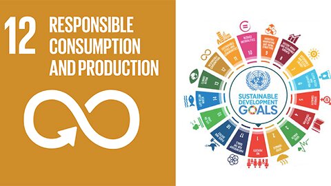 SDG 17 - The Coordinated Arrangement Currently Being Undertaken For Corporations To Own The Planet
